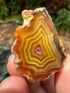 Small High-Grade Laguna Agate with Parallax Effect & Quartz Core – Rare Mexican Collectible Gemstone