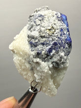 Load image into Gallery viewer, Afghanite &amp; Lazurite on Matrix Collector Display Specimen | Badakhshan Region, Afghanistan
