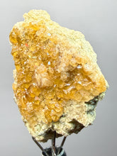 Load image into Gallery viewer, Hessonite Garnet Cluster on Matrix – Thumbnail Collector Specimen from Pakistan | High-Grade Orange-Red Garnet Crystals
