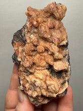 Load image into Gallery viewer, Chalcedony Quartz Rose Agate Collector Mineral Specimen – Morocco
