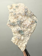 Load image into Gallery viewer, Blue-Green Chrysocolla in Botryoidal Chalcedony Cabinet Specimen | Indonesia
