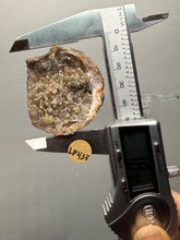 Load image into Gallery viewer, Chalcedony Quartz Rose Agate Collector Mineral Specimen – Morocco
