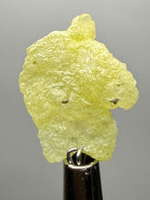 Load image into Gallery viewer, Vibrant Yellow Brucite Thumbnail Mineral Specimen | Collector Crystal from Killa Saifullah District in Balochistan Province, Pakistan
