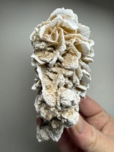 Load image into Gallery viewer, Desert Rose Selenite (Gypsum) — Mineral Display Specimen | Mexico
