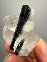 Load image into Gallery viewer, Dark Green Cap Stak Nala Tourmaline on Cleavelandite and Quartz Matrix – Haramosh Mountains, Pakistan
