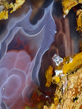 Load image into Gallery viewer, MUSEUM Turkish Agate with Intriguing Inclusions – Great Sticks, Banding and Eyes - Turkey
