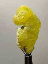 Load image into Gallery viewer, Vibrant Yellow Brucite Thumbnail Mineral Specimen | Collector Crystal from Killa Saifullah District in Balochistan Province, Pakistan
