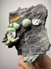 Load image into Gallery viewer, High-Grade Green Wavellite Collectors Specimen - Radiating Botryoidal Crystal Formation - Arkansas, USA
