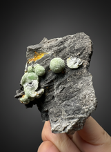Load image into Gallery viewer, High-Grade Green Wavellite Collectors Specimen - Radiating Botryoidal Crystal Formation - Arkansas, USA
