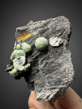 Load image into Gallery viewer, High-Grade Green Wavellite Collectors Specimen - Radiating Botryoidal Crystal Formation - Arkansas, USA
