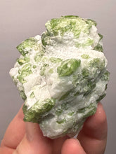 Load image into Gallery viewer, Electric Green Diopside on Quartz – Collector Mineral Specimen (Gilgit-Baltistan) Pakistan
