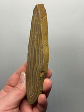 Load image into Gallery viewer, Stromatolite Fossil Slice | Ancient Microbial Reef Structure | Morocco

