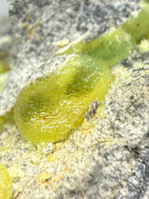 Load image into Gallery viewer, High-Grade Green Wavellite Collectors Specimen - Radiating Botryoidal Crystal Formation - Arkansas, USA
