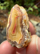 Load image into Gallery viewer, High-Grade Parallax Banded Laguna Agate – Bright Red &amp; Yellow Crystal from Mexico
