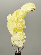 Load image into Gallery viewer, Vibrant Yellow Brucite Thumbnail Mineral Specimen | Collector Crystal from Killa Saifullah District in Balochistan Province, Pakistan
