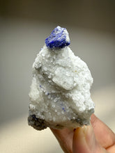 Load image into Gallery viewer, Afghan Lazurite Specimen | Deep Blue Lapis-Grade Crystal on Matrix | Collector Display Mineral
