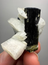 Load image into Gallery viewer, Blue and Green Cap Stak Nala Tourmaline w Double Terminated Quartz on Cleavelandite Matrix – Haramosh Mountains, Pakistan
