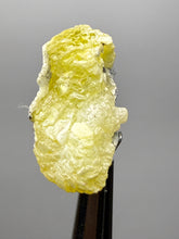 Load image into Gallery viewer, Vibrant Yellow Brucite Thumbnail Mineral Specimen | Collector Crystal from Killa Saifullah District in Balochistan Province, Pakistan
