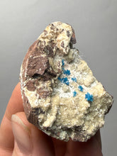 Load image into Gallery viewer, Rare Electric Blue Pentagonite on Druzy Matrix – Collector Mineral Specimen | India
