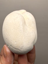 Load image into Gallery viewer, Chichaoua Menalite “Fairy Stone” Concretion | Natural Collector Display Specimen | Morocco
