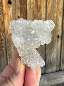 Gem Apophyllite Stalactite • Maharashtra, India