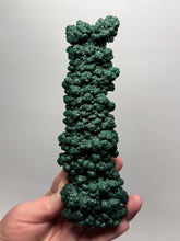 Load image into Gallery viewer, 7.1” Museum-Grade Druzy Malachite Stalactite “Cave” Formation | DR Congo | Mineral Collector Specimen
