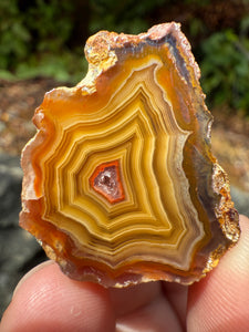 Small High-Grade Laguna Agate with Parallax Effect & Quartz Core – Rare Mexican Collectible Gemstone