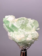 Load image into Gallery viewer, Mint Green Tourmaline 
And Pink Morganite on Matrix– Pegmatite Mineral Specimen from Pakistan
