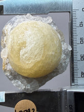 Load image into Gallery viewer, Rare Botryoidal Yellow Fluorite on Quartz Matrix  Collector Mineral Specimen – Maharashtra, India
