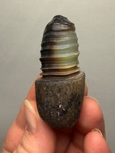 Load image into Gallery viewer, Naturally Sand-Chiseled Gobi Eye Agate | Inner Mongolia Desert Sculpted Specimen
