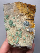Load image into Gallery viewer, High-Grade Green Wavellite Collectors Specimen - Radiating Botryoidal Crystal Formation - Arkansas, USA

