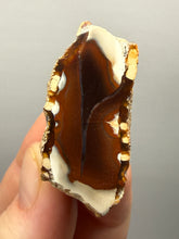 Load image into Gallery viewer, Premium Sumatra Agate (Banded Chalcedony) Display Specimen | Indonesia
