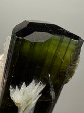 Load image into Gallery viewer, Green Cap Stak Nala Tourmaline with Cleavelandite – Haramosh Mountains, Pakistan | Thumbnail Specimen
