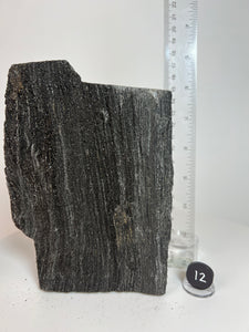 Black Druzy Petrified Wood from Indonesia