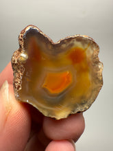 Load image into Gallery viewer, Lot of 4 Small Malawi Agate Halves – Polished Rare Colorful Collector Specimens
