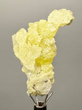 Load image into Gallery viewer, Vibrant Yellow Brucite Thumbnail Mineral Specimen | Collector Crystal from Killa Saifullah District in Balochistan Province, Pakistan
