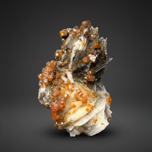 Load image into Gallery viewer, Natural Vanadinite on Matrix | Collector Mineral Specimen | Morocco
