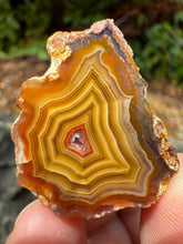 Load image into Gallery viewer, Small High-Grade Laguna Agate with Parallax Effect &amp; Quartz Core – Rare Mexican Collectible Gemstone
