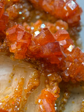Load image into Gallery viewer, Natural Vanadinite on Matrix | Collector Mineral Specimen | Morocco
