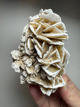Load image into Gallery viewer, Desert Rose Selenite (Gypsum) — Mineral Display Specimen | Mexico

