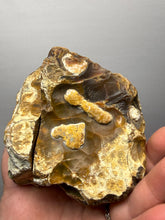 Load image into Gallery viewer, Premium Sumatra Agate Pair (Banded Chalcedony) Display Specimen | Indonesia
