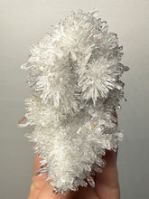 Load image into Gallery viewer, High-Grade Chrysanthemum Quartz (Needle Quartz) Spray Cluster | Jiangxi, China
