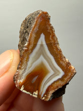 Load image into Gallery viewer, Premium Sumatra Agate (Banded Chalcedony) Display Specimen | Indonesia
