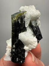 Load image into Gallery viewer, Blue Cap Dark Green Stak Nala Tourmaline on Cleavelandite Matrix – Haramosh Mountains, Pakistan
