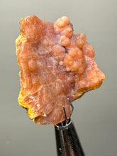 Load image into Gallery viewer, “Goblin Chalcedony” Pink and Red Druzy Botryoidal Stalactites — Tichka Massif, High Atlas, Morocco
