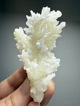 Load image into Gallery viewer, White Coral Aragonite Crystal Specimen – Wenshan Mine, Yunnan, China
