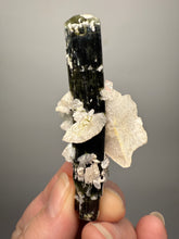 Load image into Gallery viewer, Dark Green Cap Stak Nala Tourmaline and Cleavelandite – Haramosh Mountains, Pakistan
