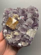 Load image into Gallery viewer, Golden Cubic Calcite on Amethyst Cluster | Maharashtra, India (Collector Specimen)
