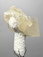 Load image into Gallery viewer, Rare Druzy Golden “Diamond” Calcite on Zeolite Matrix — Maharashtra, India | Collector Cabinet Specimen
