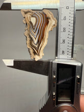 Load image into Gallery viewer, High-Grade Indonesian Sumatra Agate Pair – Vibrant Banded Chalcedony with Rich Color Zoning | Ethical Lapidary &amp; Collector Display Specimens
